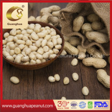 New Crop Blanched Peanut Kernels Split with Ce